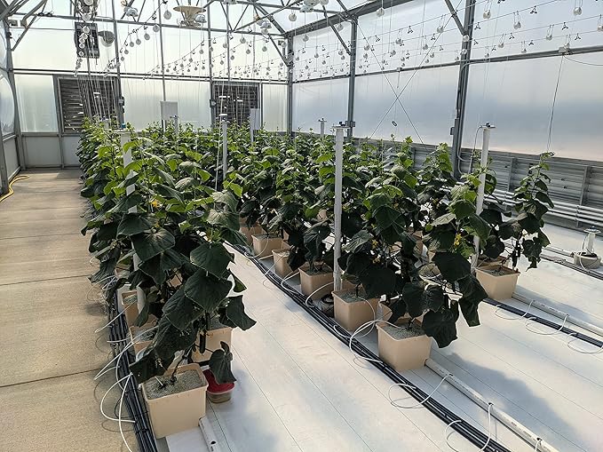 Perlite Horticultural Soil Amendment – Enhances Drainage and Aeration for Plants, Ideal for Root Cuttings, Seedlings, and Hydroponic Systems, OMRI-Listed, 100% Organic (12 QT)