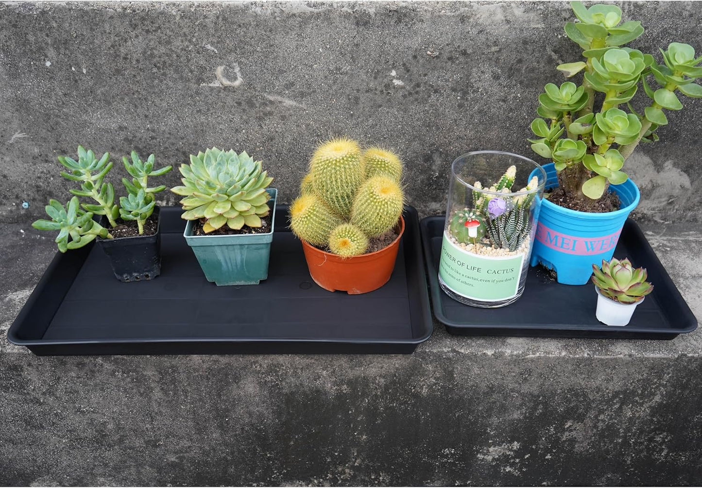 2 Pack Plant Growing Nursery 1020 Trays, Plant Saucer Tray, Heavy Sturdy Seed Starting Trays, Plant Saucer for Indoors No Holes, Seed Starter Growing Tray (22"x11.2", Black)