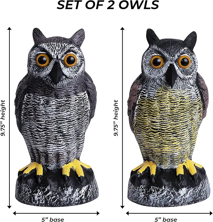 Galashield Owl Decoy to Scare Birds Away | Plastic Owls to Scare Birds Away | Owl Statue for Garden & Outdoors by Galashield [Set of 2]