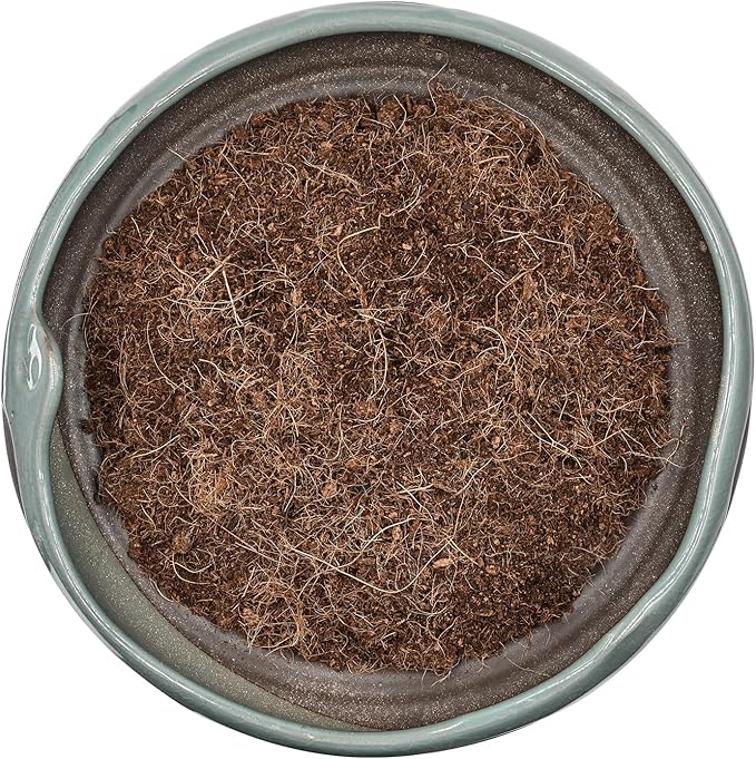 10QT Organic Coco Coir, Coconut Coir for Plants, Coco Coir Fiber Coconut Husk for Gardening, for Plants Indoor, for Houseplants, to Promote Soil Root Growth, and Water Drainage and Plant Growth