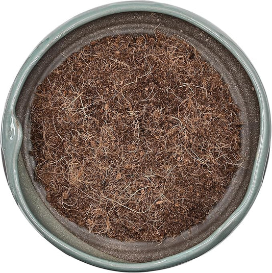 10QT Organic Coco Coir, Coconut Coir for Plants, Coco Coir Fiber Coconut Husk for Gardening, for Plants Indoor, for Houseplants, to Promote Soil Root Growth, and Water Drainage and Plant Growth