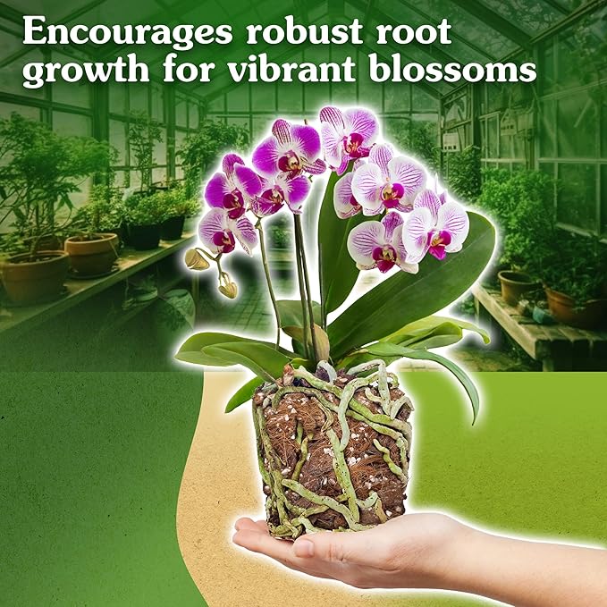 Orchid Potting Mix for Repotting - Pine Bark Mulch, Perlite Stone & Coco Fiber Natural Ingredients - Orchid Bark Potting Mix, Orchid Repotting Kit Drainage Indoor Potting Medium 2QT (1 Quart)