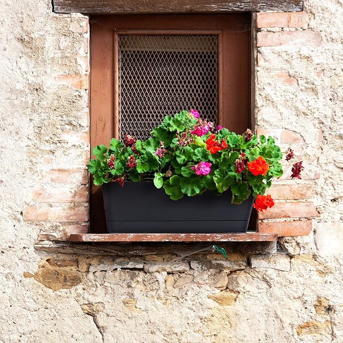 GREANER 6 Pack Herb Planters, 12x3.8 Inch Black Rectangle Window Boxes with Tray, Indoor Succulent Cactus Mint Plastic Pot for Windowsill, Balcony, Office, Outdoor Garden