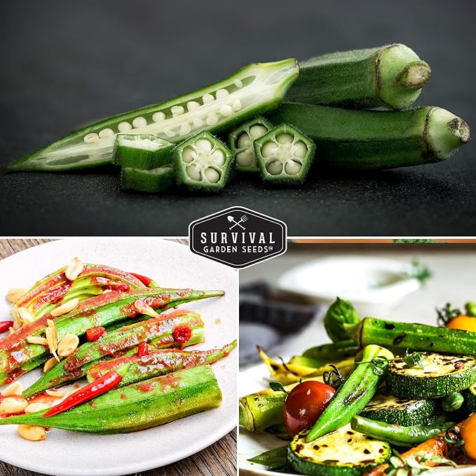 Survival Garden Seeds - Emerald Okra Seed for Planting - Packet with Instructions to Plant and Grow Tender and Large Okra in Your Home Vegetable Garden - Non-GMO Heirloom Variety - 5 Pack