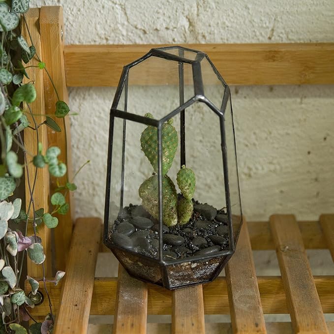 NCYP Small Geometric Terrarium - 4.1" x 3.5" x 5.9" Miniature Irregular Glass Terrarium Planter for Succulent Air Plants - Tabletop Garden Display Container, Black (No Plants, No Door)