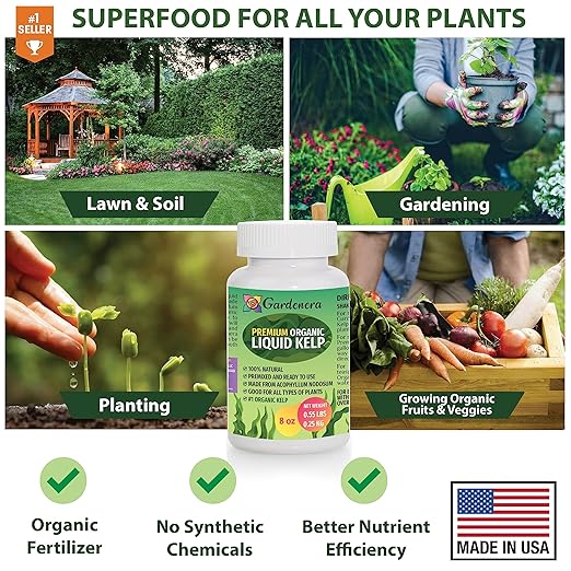 Premium Organic Liquid Kelp Fertilizer by GARDENERA - 8 oz - Unlock The Power of Seaweed Fertilizer for Vegetables, Trees, Lawns, Shrubs, Flowers, Seeds & Plants