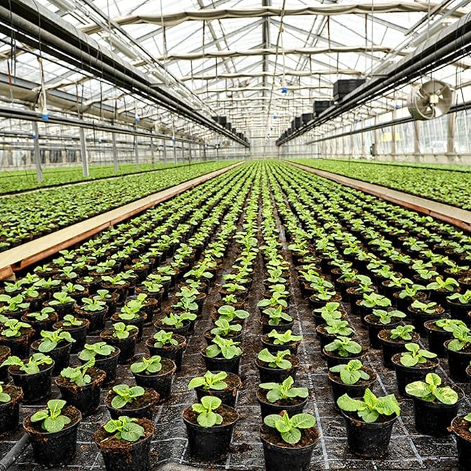 IndiCanja 1 Cubic Foot Bag, Organic Living Soil, Clean & Natural Plant Based Water Only Super Soil for Professional Indoor & Outdoor Growers