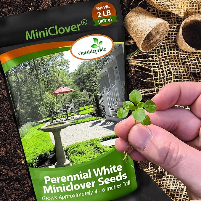 Outsidepride Perennial White MiniClover Seed - 2 lb. Dwarf, Small-Leaved, Drought & Wear-Tolerant Micro Clover Seeds for Lawn, Ideal Low-Maintenance & Easy to Grow Ground Cover Seeds for Home Yard