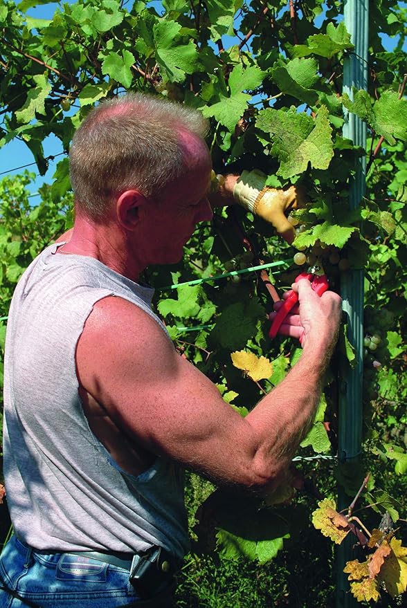 Felco Pruning Shears (F 310) - High Performance One-Hand Garden Pruners - F-310