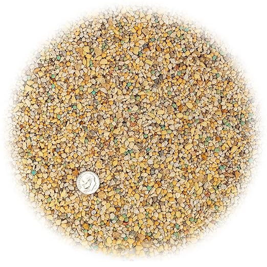 Premium All Season Palm, Ixora, and Ornamental Plant Food (8-4-8) - Nourish Your Landscape for Lush Growth and Beautiful Blooms - 1 Quart