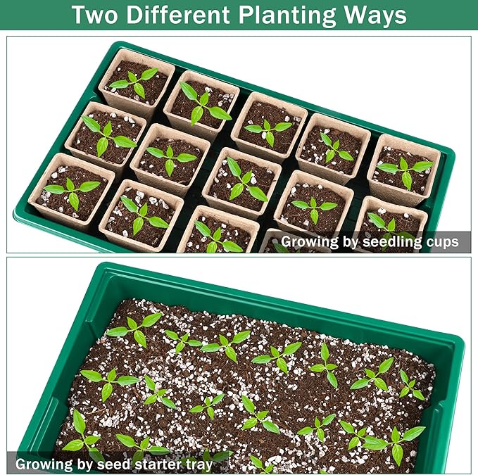 6 Pack Seed Starter Tray Kit with 120 Square Peat Pots for Seedlings, Including Plants Labels, Planting Tools, Growing Trays Plastic Germination Tray Paper Starter Pods for Plant Seeds, Green