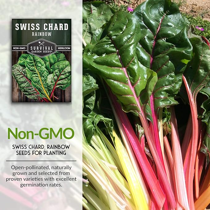 Survival Garden Seeds - Rainbow Swiss Chard Seed for Planting - Packet with Instructions to Plant and Grow Colorful Stalked Vegetable Greens in Your Home Vegetable Garden - Non-GMO Heirloom Variety