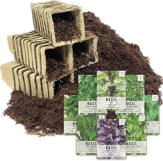 Seed Needs, Basil Seed Packet Collection Seed Starting Bundle (Includes 8 Individual Seed Packets, 36 Starter Pots & 1 Expandable Coco Coir Brick) Heirloom, Non-GMO & Untreated