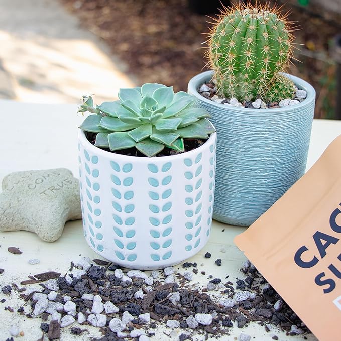 Premium Organic Cactus & Succulent Potting Soil Mix - Well Draining Blend with Biochar, Mycorrhizae & Worm Castings for Healthy Growth! 4 quarts
