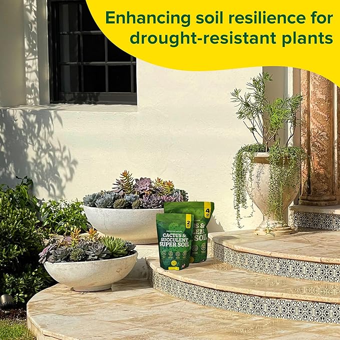 Cactus Soil Potting Mix Succulent Soil Potting Mix for Succulents with Mycorrhizae Indoor Cactus Blend with Mycorrhizal Fungi for Indoor Plants Well Draining Gritty