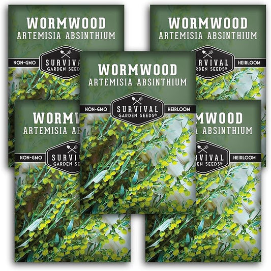 Wormwood Seeds for Planting - 5 Packets with Instructions to Plant and Grow Beneficial Medicinal Herbs in Your Home Herb Garden - Non-GMO Heirloom Variety - Survival Garden Seeds