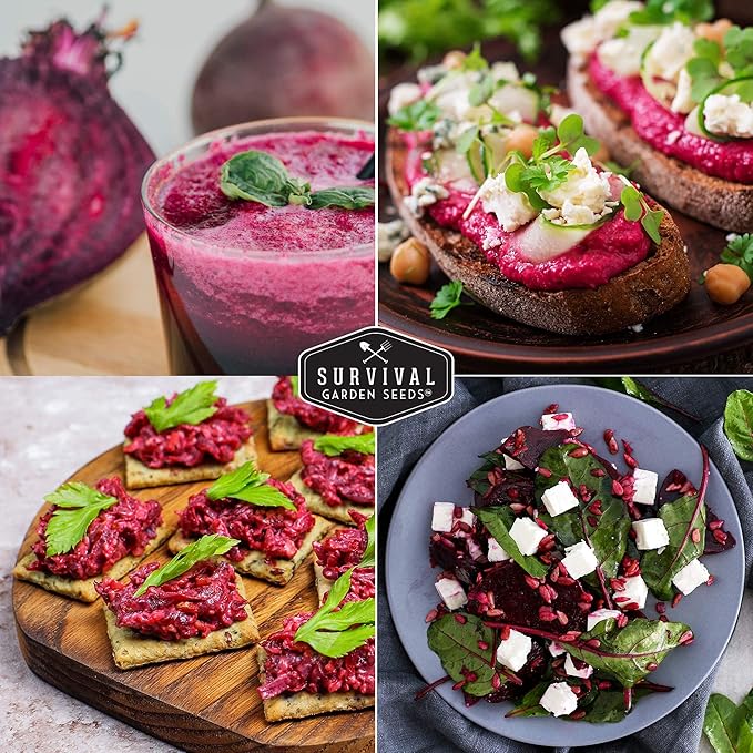 Survival Garden Seeds - Detroit Dark Red Beet Seed for Planting - 5 Packs with Instructions to Plant and Grow Delicious Root Vegetables in Your Home Vegetable Garden - Non-GMO Heirloom Variety