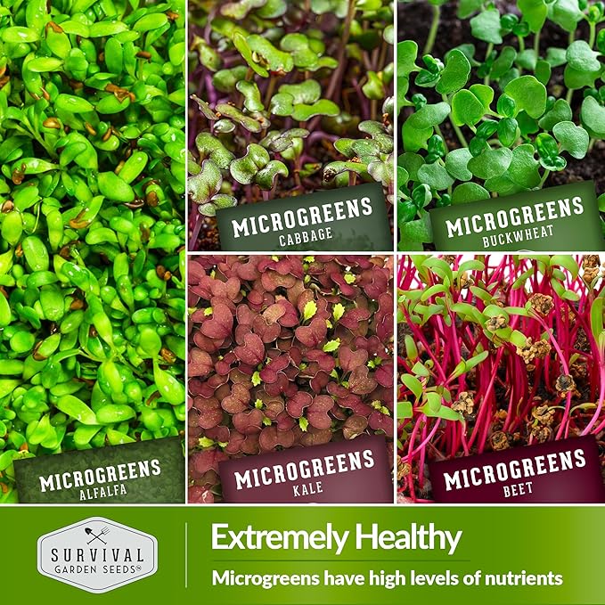 Survival Garden Seeds Microgreens 10 Pack (Seeds Only) - Instructions to Plant and Grow a Mix of Microgreen Plants - Arugula, Broccoli, Radish, Pea, Sunflower, Alfalfa, Cabbage, Buckwheat, Kale, Beet