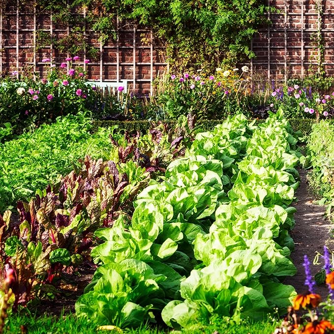 All-Purpose Compost Blend (12 Quarts), Deluxe Mix for Indoor/Outdoor Plants w/Mushroom Compost and Worm Castings