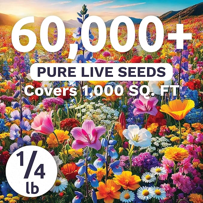 Midwest Regional Mix - Bulk 1/4 Pound Pouch - 60,000 Flower Seeds for Planting - Wildflower Mix