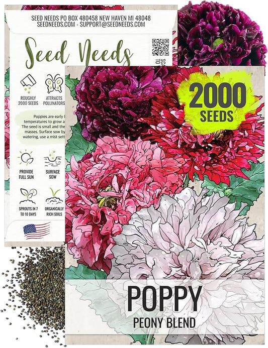 Seed Needs Mixed Peony Poppy Seeds for Planting - Heirloom & Open Pollinated - Colorful Mixture to Plant an Outdoor Butterfly Garden, Attracts Pollinators (1 Pack)