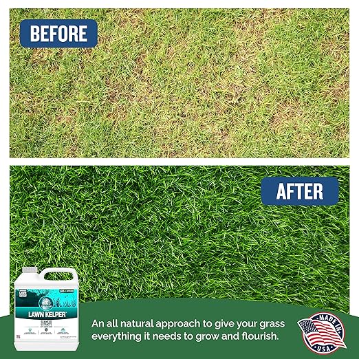 Turf Titan Lawn Kelper – Lawn & Plant Fertilizer - Liquid Fertilizer with Seaweed Kelp Extract for Lush, Greener Grass - Non-Toxic Seaweed Fertilizer