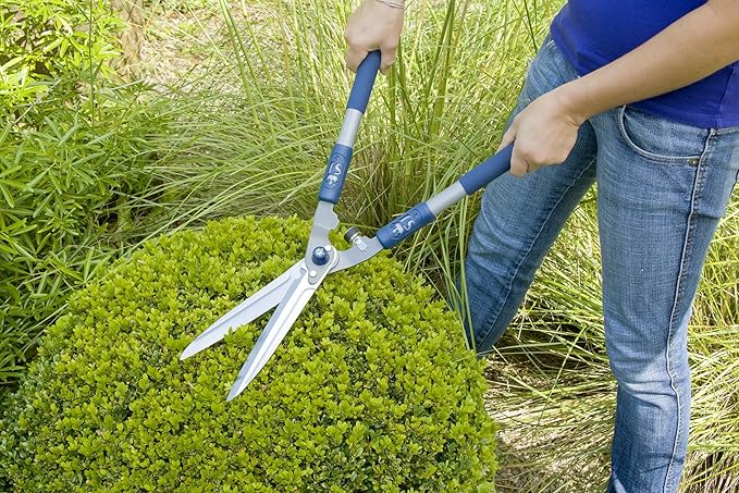 Spear & Jackson 4862RSA Razorsharp Active Soft-Grip Hand Shears