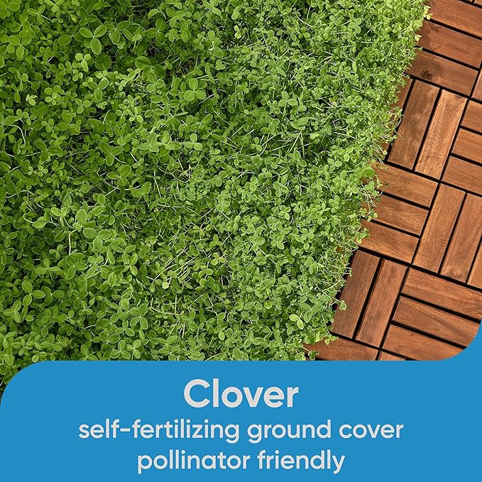 Scotts Pursue Clover Lawn, Rich in Natural Ingredients, 2 lbs.