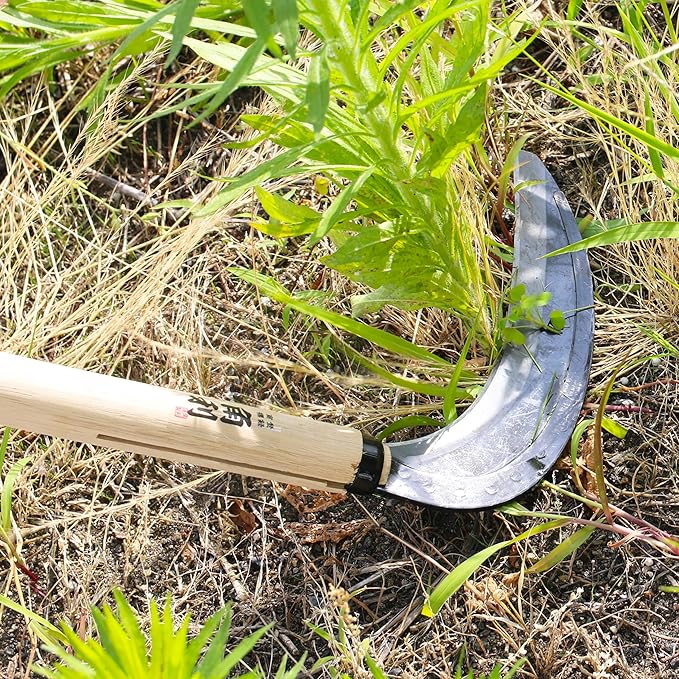 KAKURI Japanese Weeding Sickle Long Handle 45" [Thick Blade] Grass Sickle Stand Up Weeding Tool, Razor Sharp Japanese Carbon Steel Blade, Made in Japan