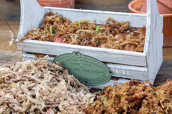 SuperMoss (22301) Orchid Sphagnum Moss Dried, Natural, 8oz