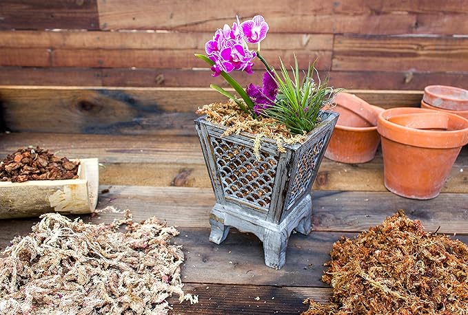 SuperMoss 7 59834 22303 0 Orchid Sphagnum Moss, 1400 in3 Bag (Appx. 32oz), Natural White