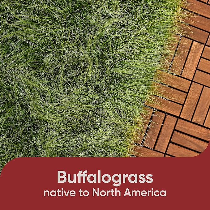 Scotts Pursue Buffalograss with Natural Seed, Seeding for Large Areas, 1 lb.