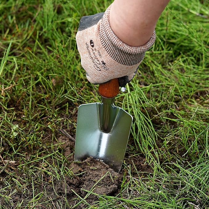Japanese Garden Trowel Heavy Duty Japanese Steel with Wood Handle, Garden Transplanter Tool for Digging, Scooping, Transplanting, Made in Japan, Large Silver