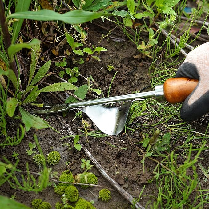 Weed Puller Heavy Duty Japanese Steel with Wood Handle, Hand Weeding Tool, Manual Weeder for Garden, Quick and Easy Weed Pull Tool, Made in Japan, Silver