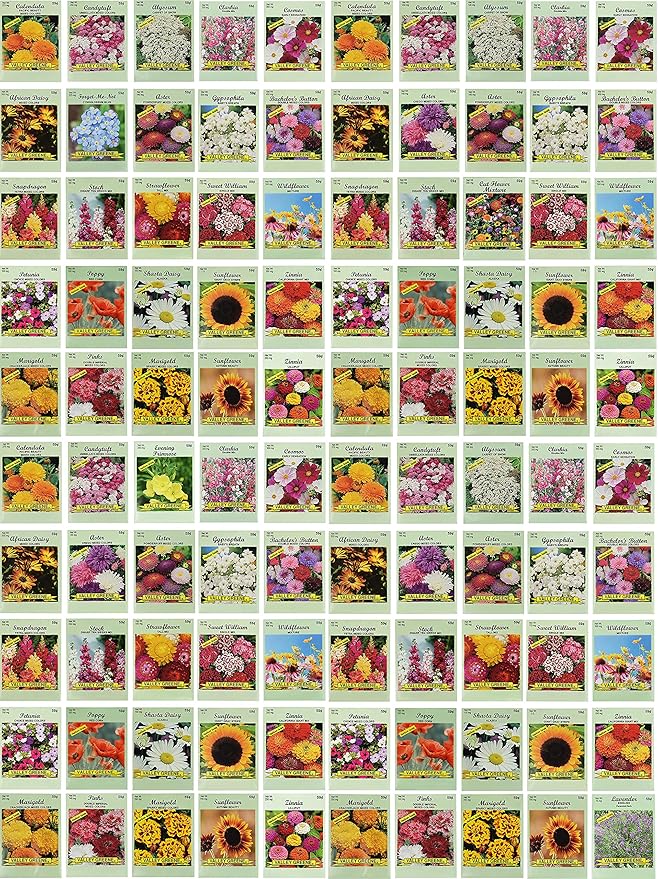 Set of 100 Assorted Valley Green Flower Seed Packets! Flower Seeds in Bulk - 20+ Varieties Included
