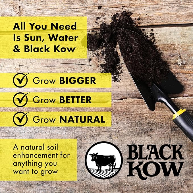 Black Kow Nitrogen Phosphate Composted Cow Manure Fertilizer for Soil, Flowers, Potted Plants, Raised Beds, and Compost Tea, (8 qt)