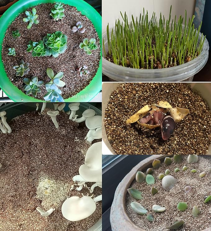 30 QT Professional Grade Horticultural Organic Vermiculite (30 QT, Vermiculite)