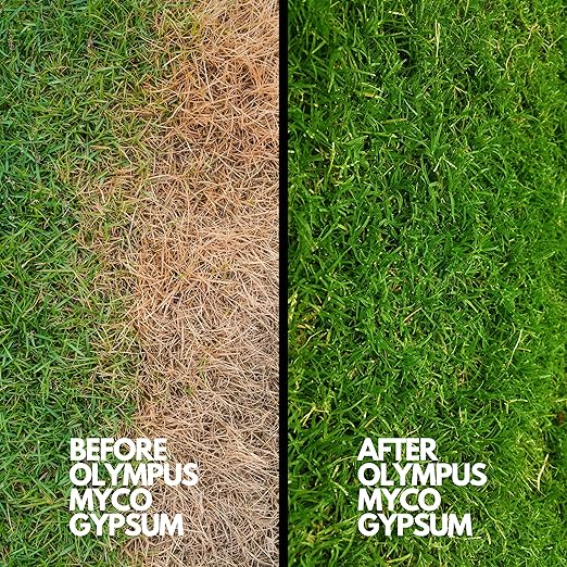 Gypsum Powder for Mushroom Substrate (5 lbs), Lab Grade, Garden Soil Amendment Adds Calcium, Repairs Salt Damage & Root Growth (Calcium Sulfate Dihydrate), Packaged in HEPA Enclosure