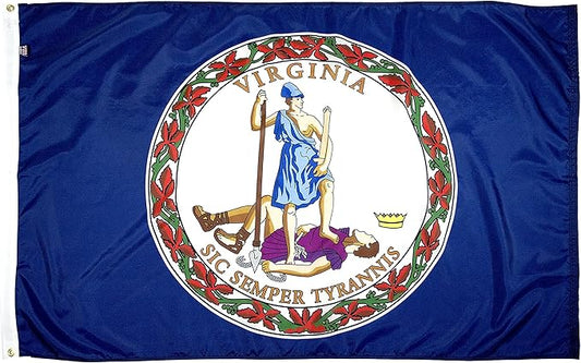 FlagSource Virginia Nylon State Flag, Made in USA, 4x6'