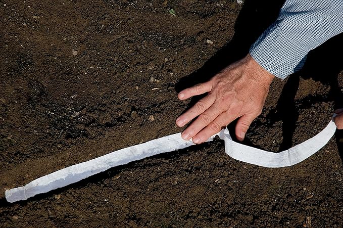 Burpee Carpet of Snow Alyssum Seed Tape 250 per tape