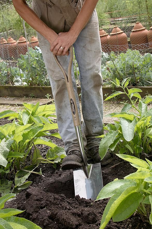 Spear & Jackson 4450DS Traditional Stainless Steel Digging Spade, 1-Pack, Multicolored