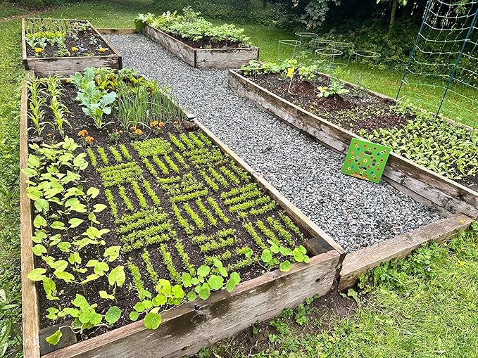 Seeding Square - Seed and Seedling Spacer Tool for Bigger Harvests, Organized Plants & Fewer Weeds – Color-Coded Gardening Template with Magnetic Dibber, Ruler & Planting Guide
