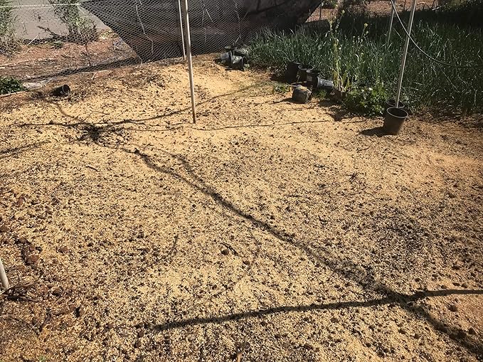 Rice Hulls - Organic Use – 1.5lb Bag - House Plants – Gardening - Chicken Bedding Nesting