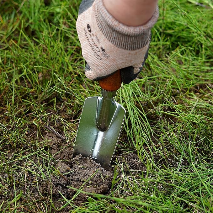 Japanese Garden Trowel Heavy Duty Japanese Steel with Wood Handle, Garden Transplanter Tool for Digging, Scooping, Transplanting, Made in Japan, Small Silver