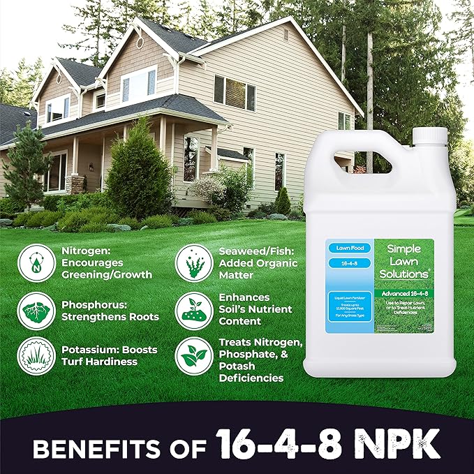 Simple Lawn Solutions - Ryan Knorr - Gallon Bundle- Lawn Essentials Bundle Box - 3 x 1 Gallon Set - Lawn Food 16-4-8 Fertilizer, Lawn Energizer Booster, Soil Hume- Seaweed, Humic Acid (Gallon Bundle)