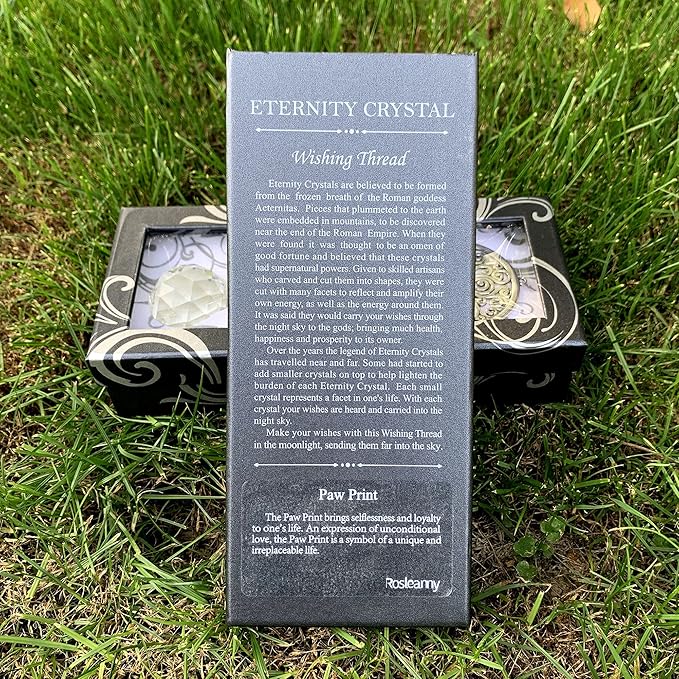 Paw Print Sun Catcher Crystals Prisms Hanging Garden Decor Pet Memorial Gifts Dog Remembrance Gift Loss Sympathy Rainbow Maker Suncatcher for Window Friend Birthday